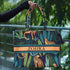 Customized Animal Printed Green Handheld Box Bag - Uncommongifts.in
