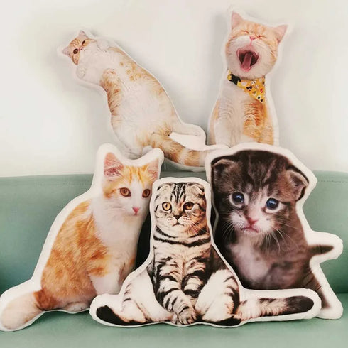 Crazy Corner Cute Pet Velvet Plush Pillow