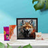 Rakhi Gift Combos For Kids