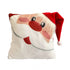 3D Santa Cushion