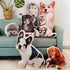 Crazy Corner Cute Pet Velvet Plush Pillow