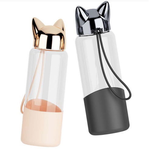 Borosilicate Glass Water Bottle - Uncommongifts.in