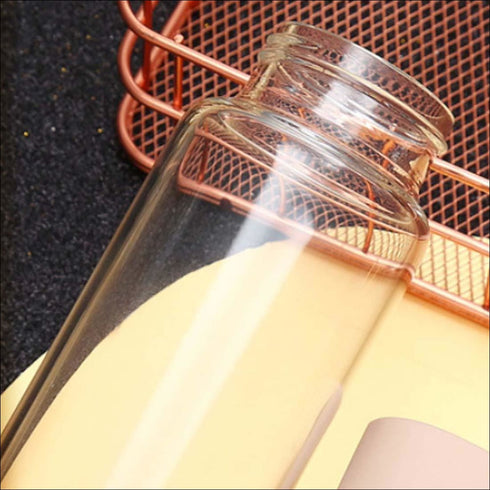 Borosilicate glass bottle - Uncommongifts.in