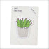 Cactus leaf shaped sticky notes - set of 3 - Uncommongifts.in