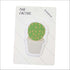 Cactus leaf shaped sticky notes - set of 3 - Uncommongifts.in