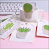 Cactus leaf shaped sticky notes - set of 3 - Uncommongifts.in